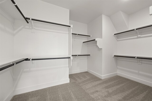 walk in closet with light colored carpet