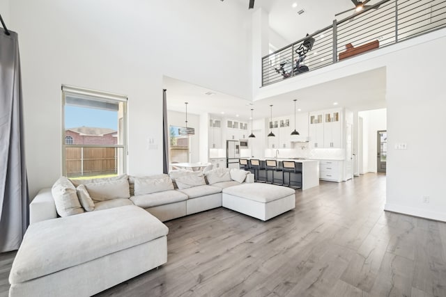 living room featuring a towering ceiling and hardwood / wood-style floors