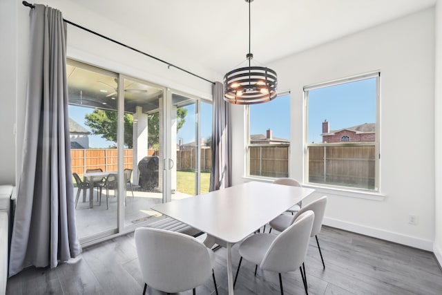 dining room with a chandelier and dark hardwood / wood-style flooring