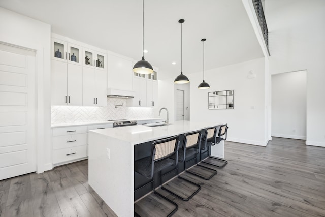 kitchen with white cabinetry, dark hardwood / wood-style flooring, sink, and a kitchen island with sink