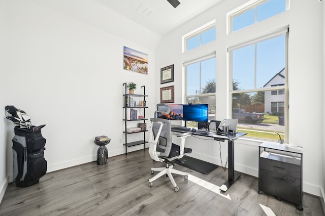 home office featuring wood-type flooring and a wealth of natural light