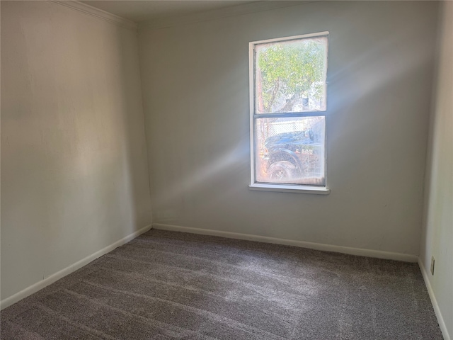 empty room featuring crown molding and carpet floors