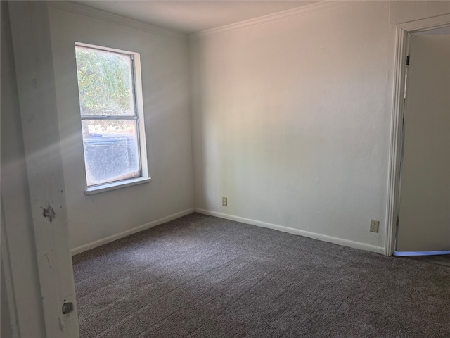 carpeted spare room featuring ornamental molding