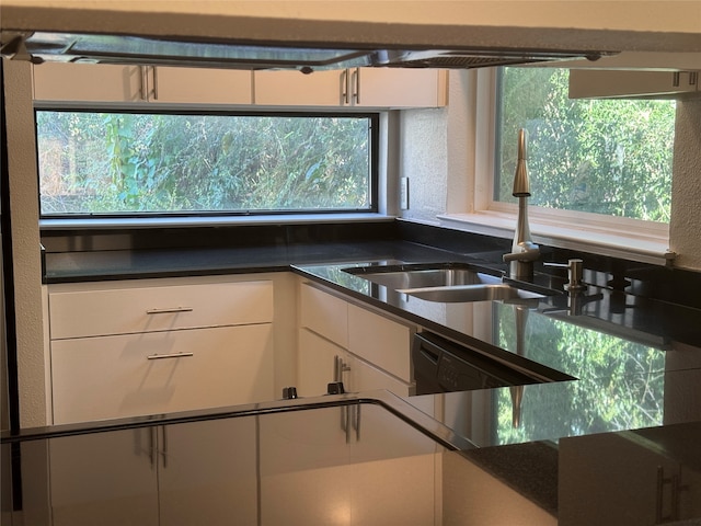 kitchen with white cabinetry, sink, and dishwasher