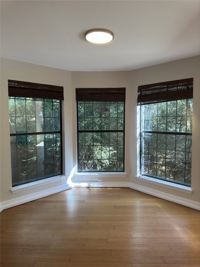 empty room with hardwood / wood-style flooring