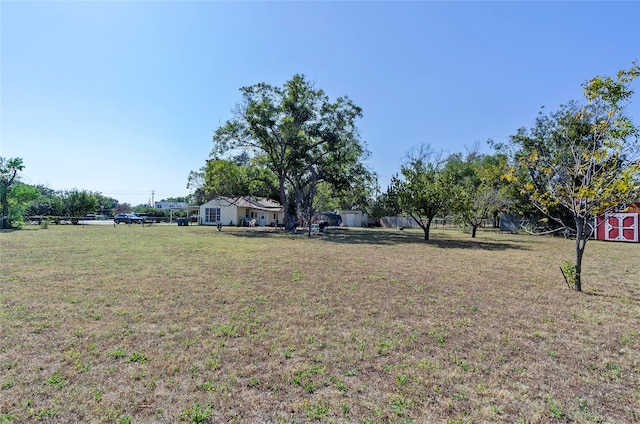 view of yard with a shed