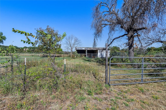 view of yard featuring a rural view