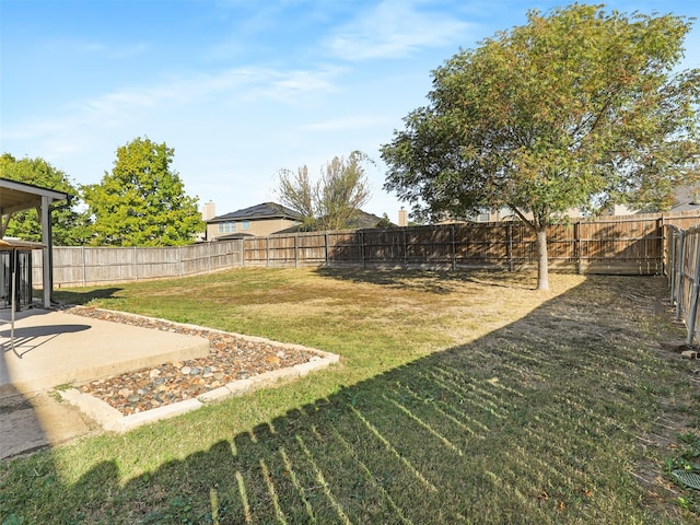 view of yard featuring a patio area