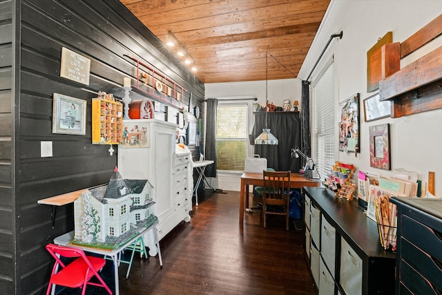 interior space featuring dark wood-type flooring and wood ceiling