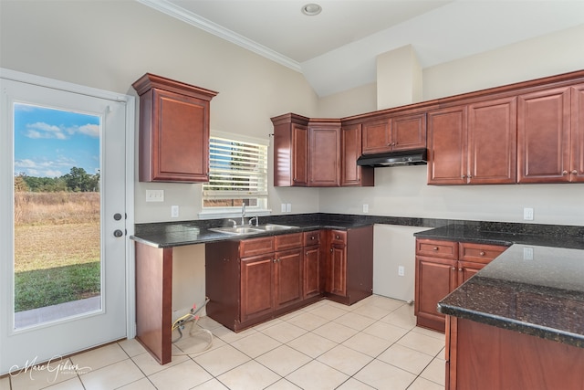 kitchen featuring lofted ceiling, ornamental molding, sink, and light tile patterned floors