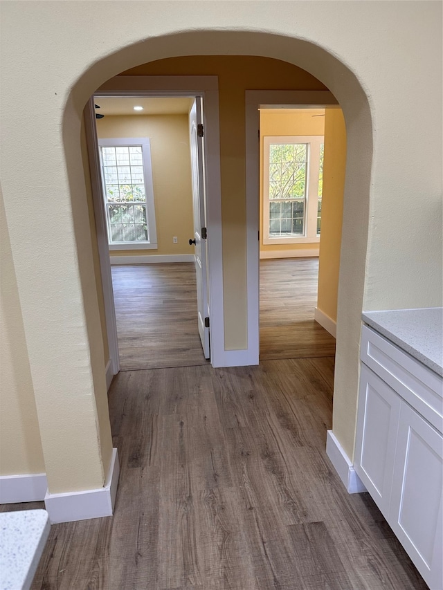 hallway featuring a wealth of natural light and dark hardwood / wood-style floors