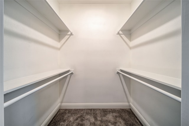 spacious closet featuring carpet floors