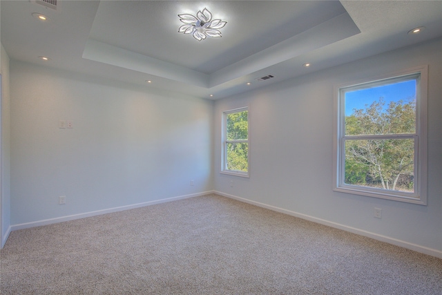 carpeted spare room featuring a raised ceiling