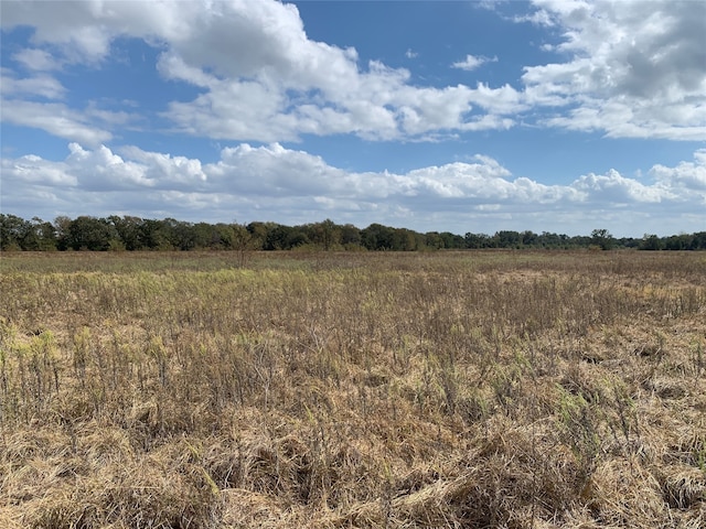 Listing photo 2 for TBD Fcr 121, Fairfield TX 75840