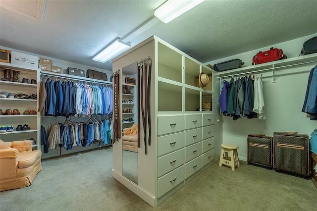 spacious closet with light colored carpet