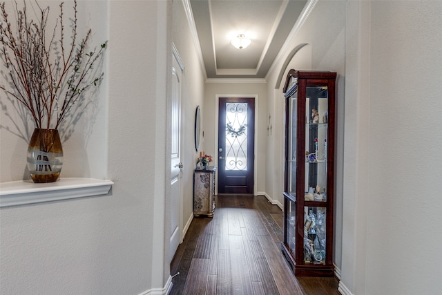 foyer entrance with crown molding, dark hardwood / wood-style floors, and a tray ceiling