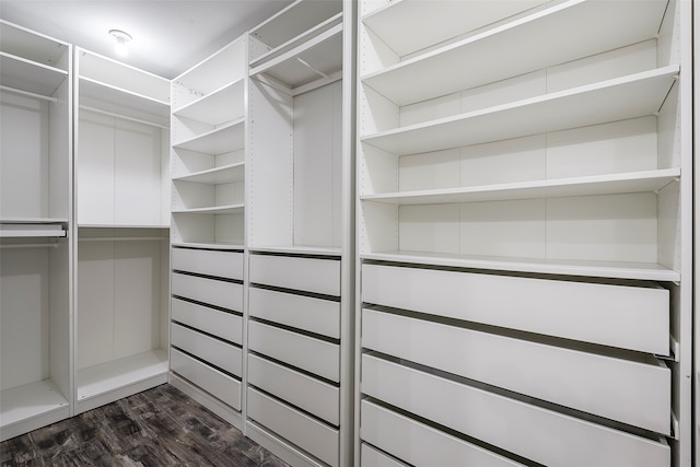 spacious closet featuring dark hardwood / wood-style flooring