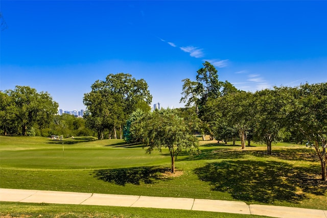 view of community featuring a yard