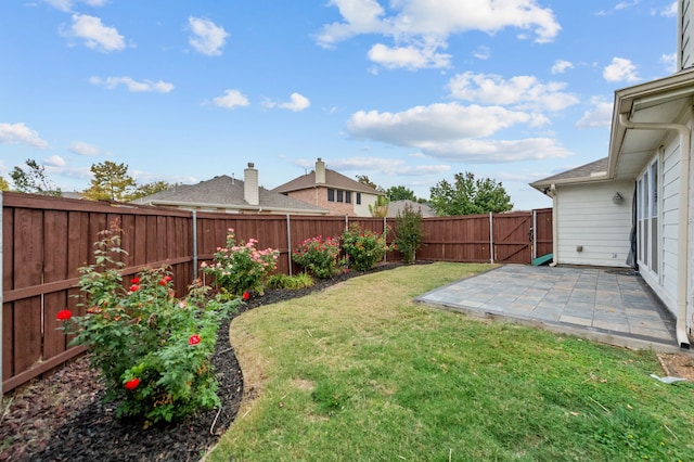 view of yard featuring a patio