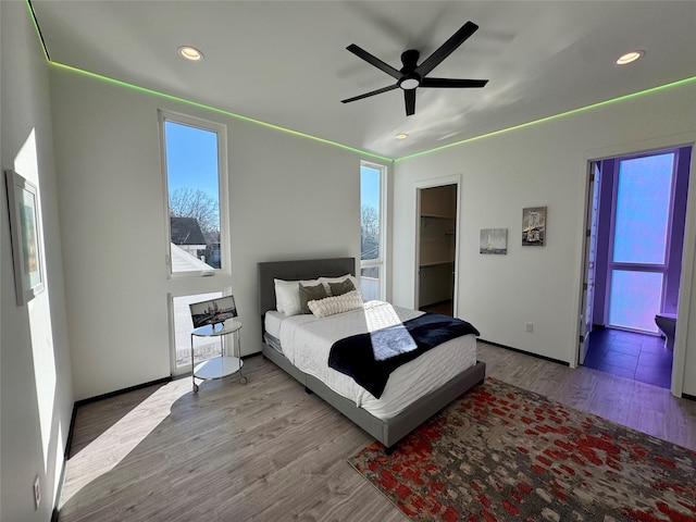 bedroom featuring multiple windows, a walk in closet, light hardwood / wood-style floors, and ceiling fan