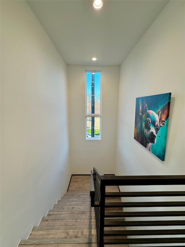 stairway with wood-type flooring