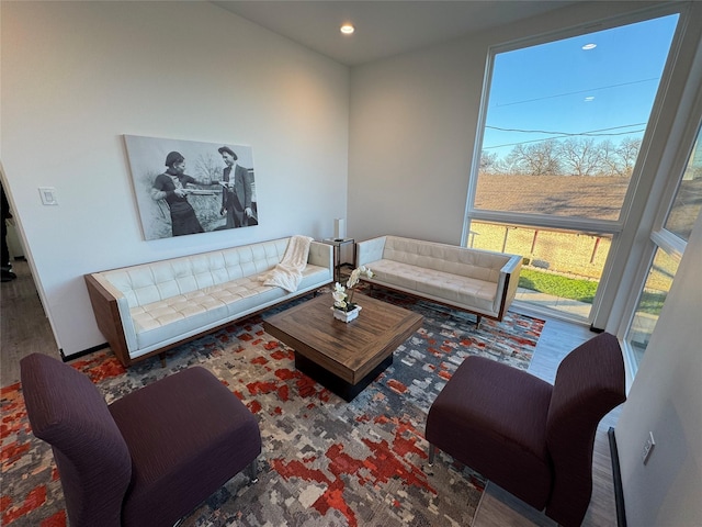 living room featuring hardwood / wood-style floors