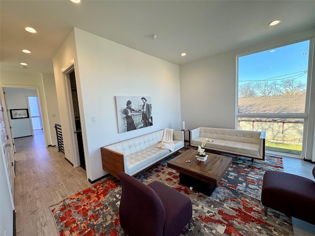 living room featuring light hardwood / wood-style floors