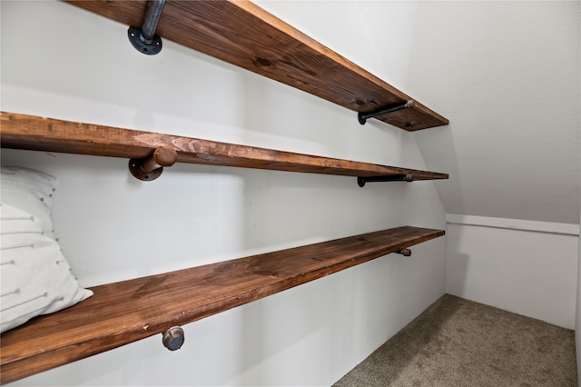 walk in closet featuring carpet flooring