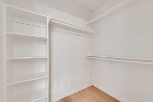 spacious closet featuring hardwood / wood-style flooring