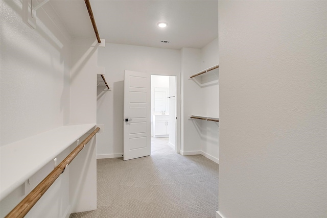 spacious closet with light carpet