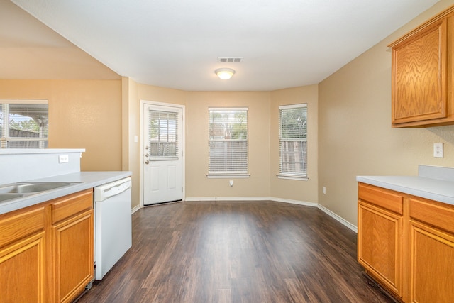 kitchen featuring sink, dishwasher, and dark hardwood / wood-style flooring