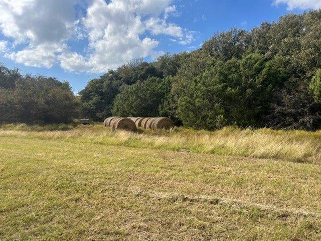 view of nature