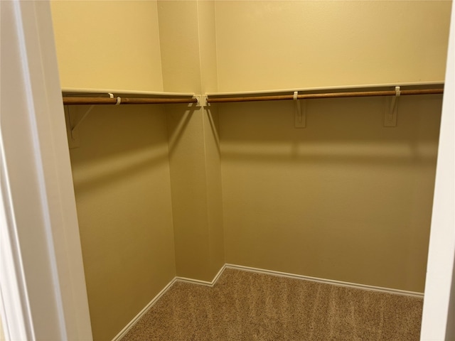 walk in closet with carpet floors