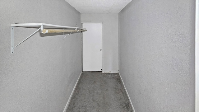 5706 Rocky Ridge Rd, Dallas, TX 75241 - spacious closet with carpet floors
