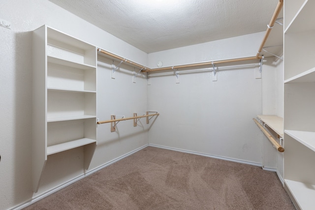 walk in closet featuring carpet