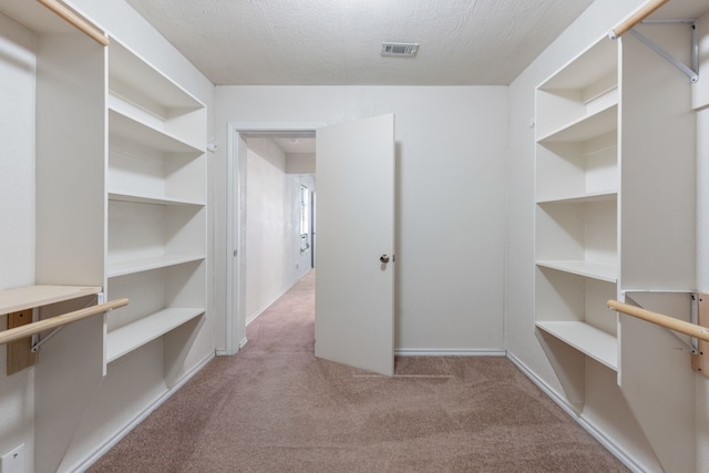 walk in closet featuring light carpet