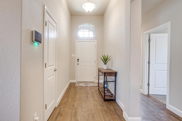 foyer entrance featuring hardwood / wood-style flooring