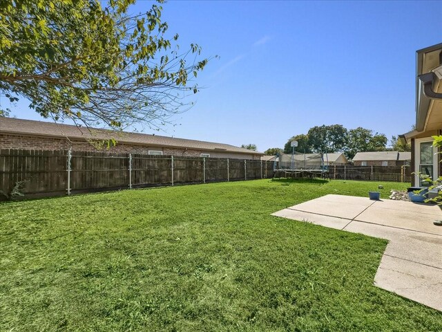 view of yard featuring a patio area and a trampoline