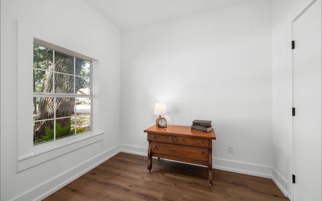 interior space featuring multiple windows and dark hardwood / wood-style floors