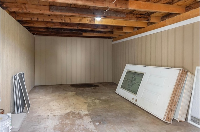 basement with wooden walls