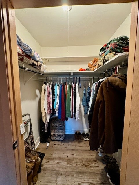 spacious closet featuring hardwood / wood-style flooring