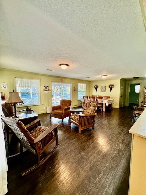 living room with a textured ceiling and dark wood-type flooring