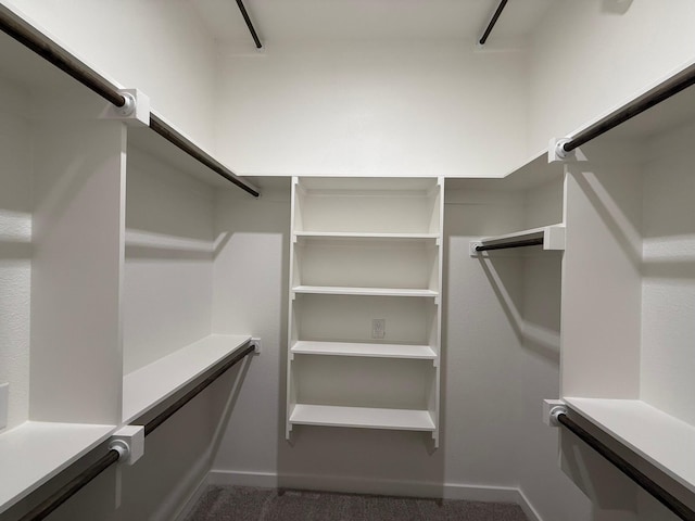 spacious closet featuring carpet floors