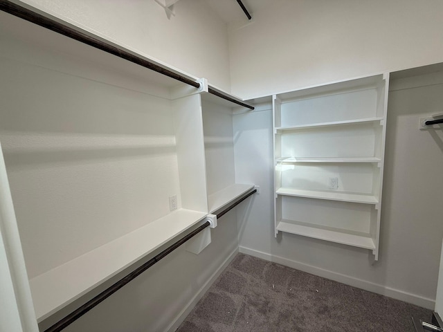 walk in closet with dark carpet