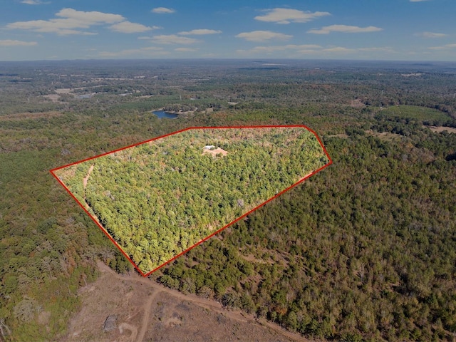 drone / aerial view featuring a view of trees