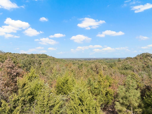 view of landscape with a forest view