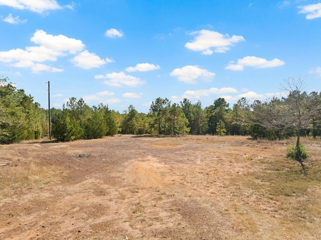 view of local wilderness