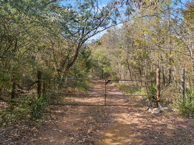 view of road with a gated entry and dirt driveway