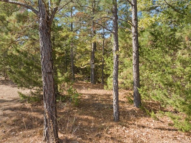 view of nature with a wooded view