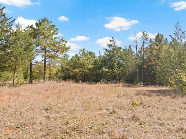 view of local wilderness